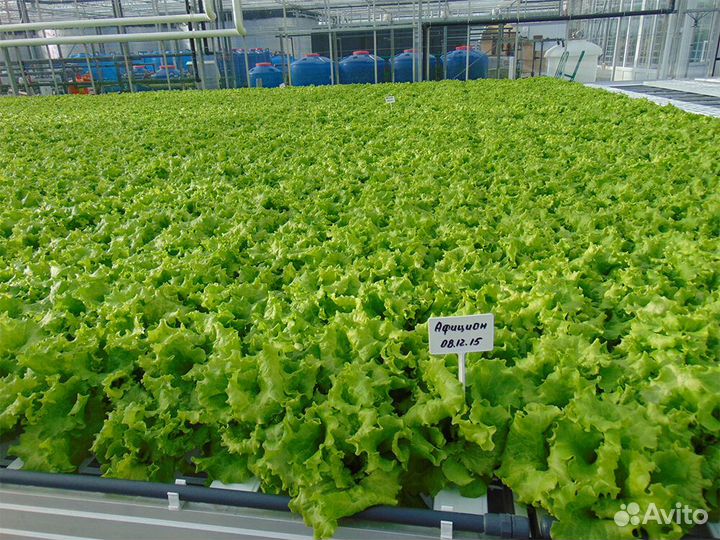 Разнорабочий (вахта)