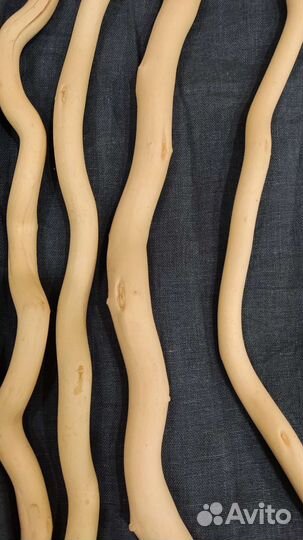 Корилус для декора