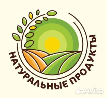 Грузчик ежедневная оплата