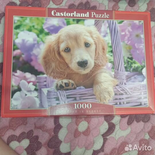 Пазлы 1000 деталей