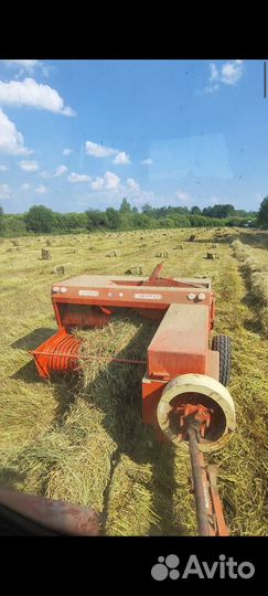 Сено В тюках кипах 2024