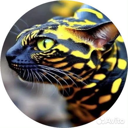 Значки, брелки, зеркальце