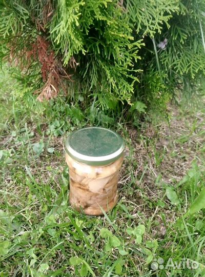 Печень трески свежая