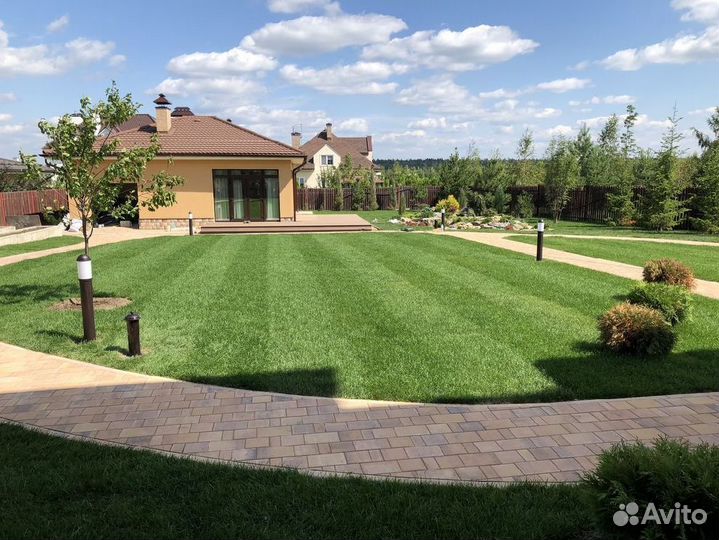 Рулонный газон укладка