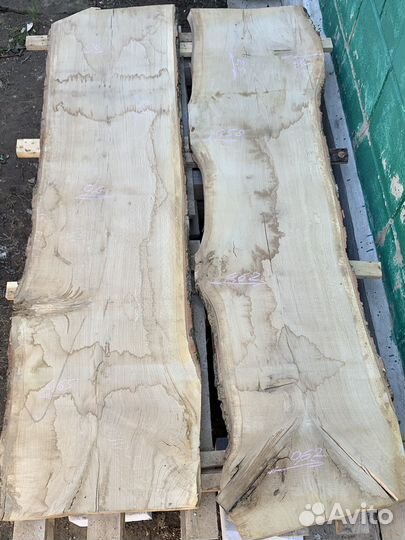 Слэбы из дуба