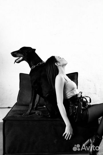 Фотосессия в студии семейная детская свадебная