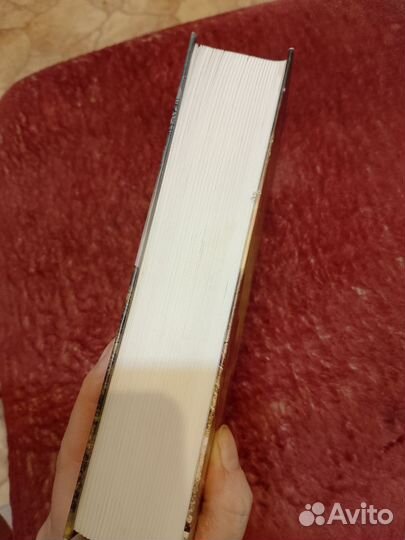 Брайан д Амато хранитель солнца