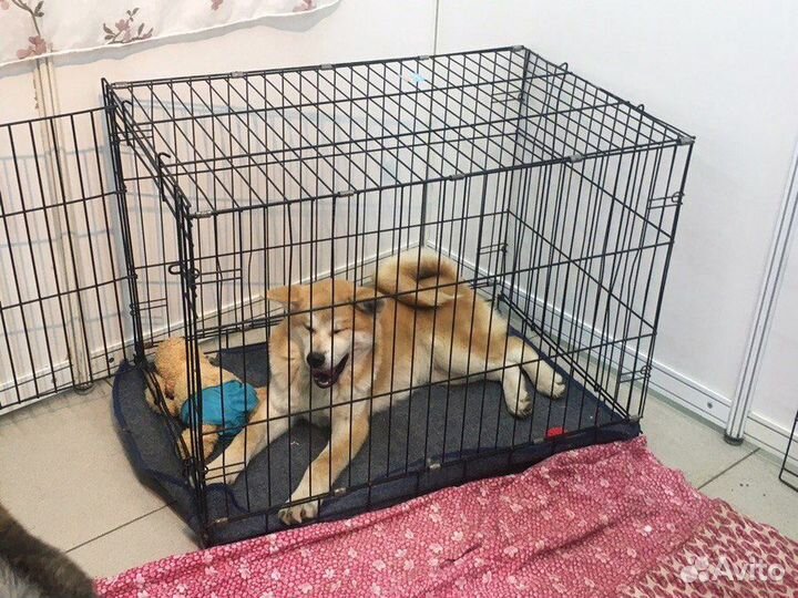 Клетка для собак металлические