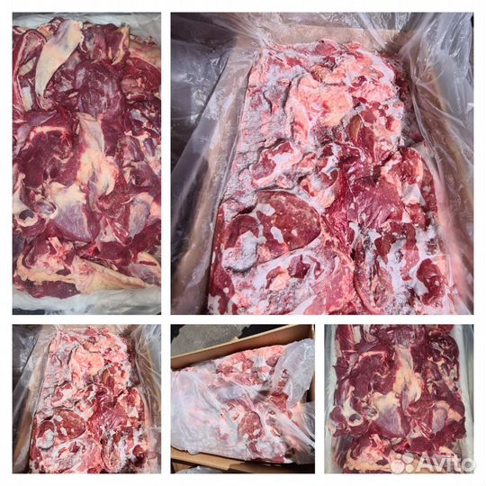 Мясо говядина,свинина,конина от 300кг