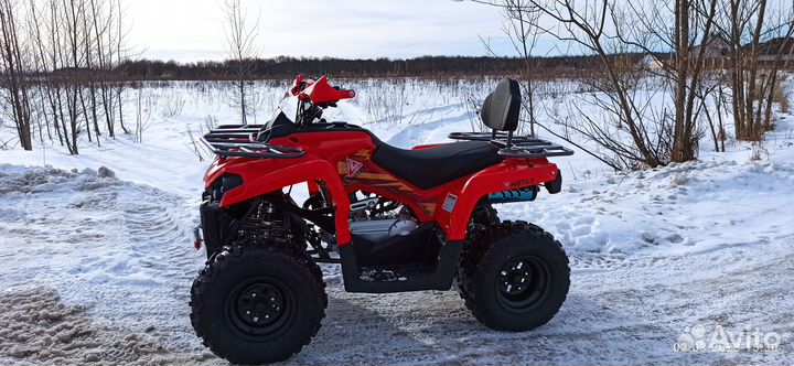 Квадроцикл Motax Grizlik 200 Ultra