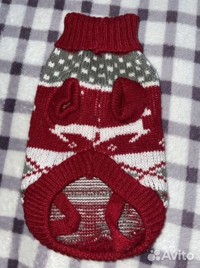 Свитер доя маленькой собачки