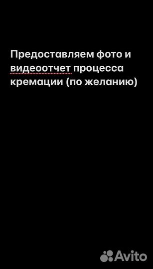 Ритуальное агентство для животных