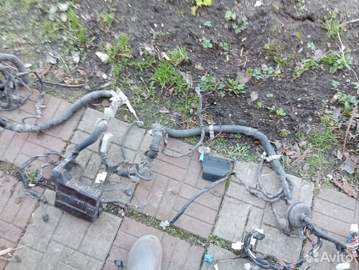 Проводка Ниссан альмера н16 1.8 МКПП