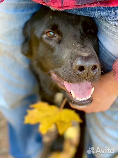 Ждут и Верят