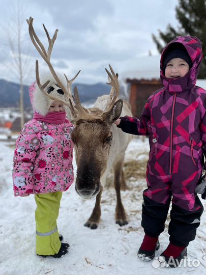 Экскурсии, фрирайд