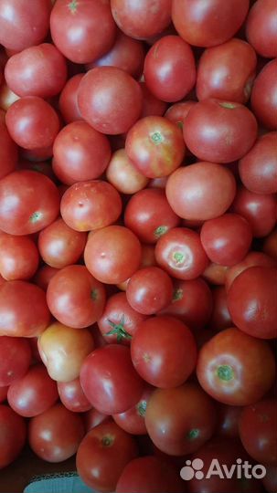 Абузы сладкие 36р