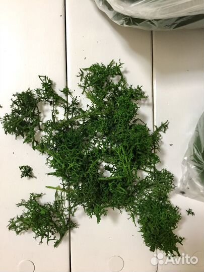 Обрезки мха для поделок