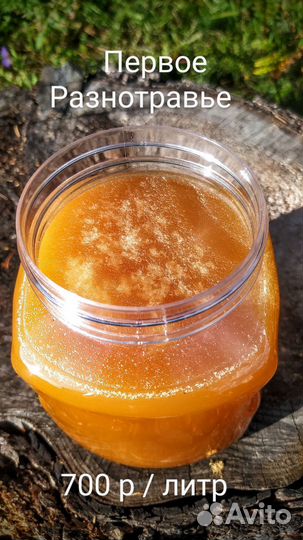 Мед алтайский