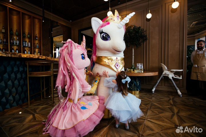 Аниматоры Пони Русалочка Фея на детский праздник