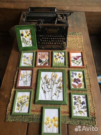 Ботанические панно из сухоцветов в рамках