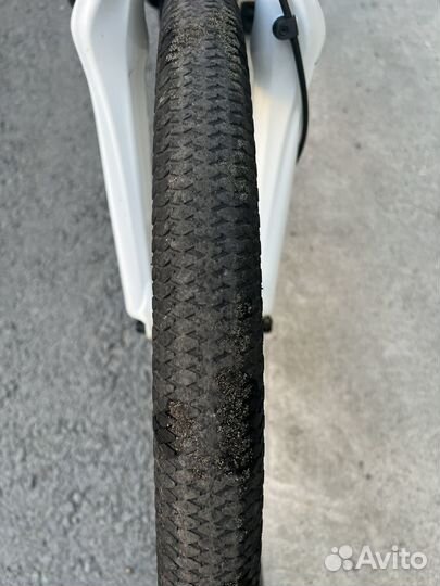 Mongoose Fireball 26 (2014)