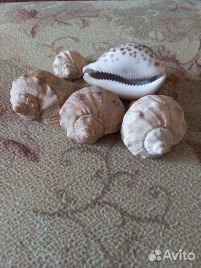 Аксессуары для аквариума