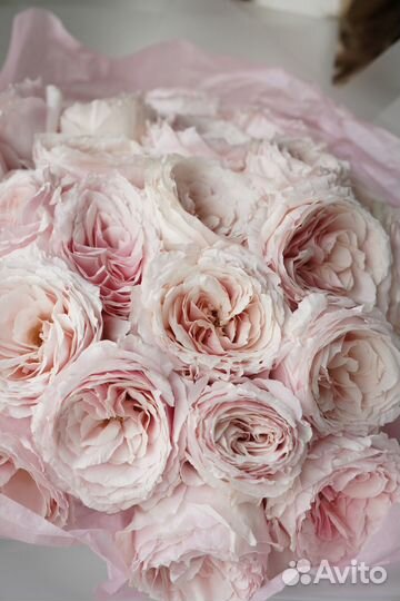 Цветы розы и букеты 101 с доставкой