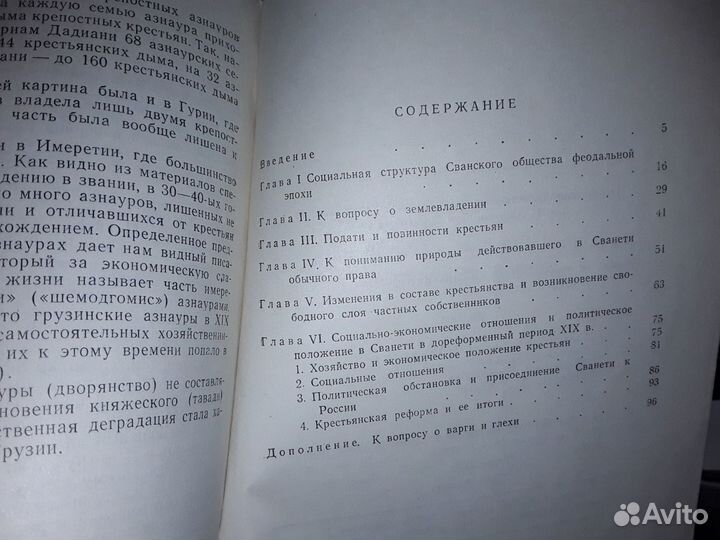 Гасвиани Г. Социально-экономическая структура Сван