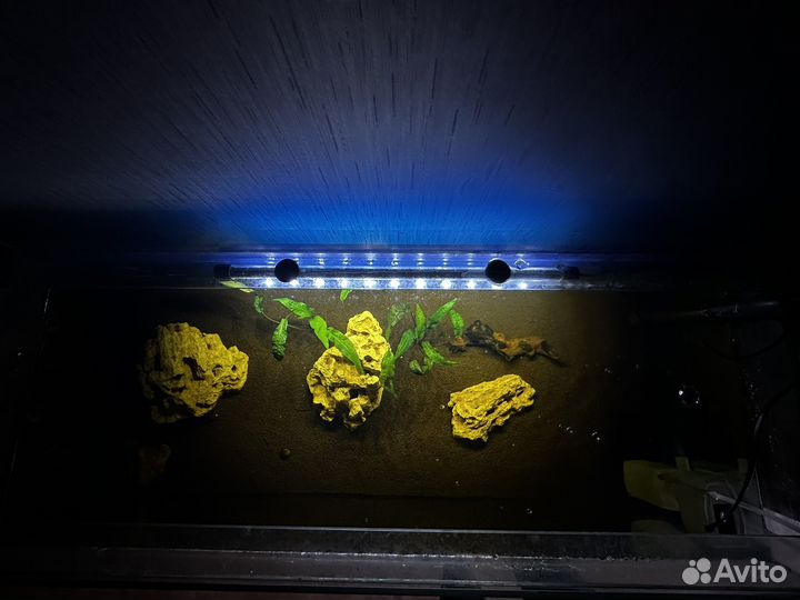 Аквариум с рыбками на 120 л