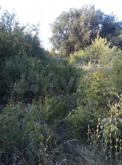 Участок 8 сот. (ИЖС)