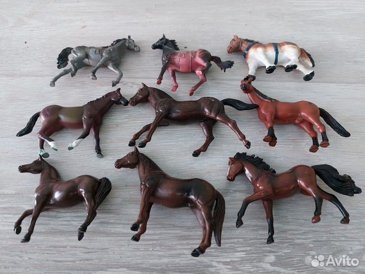 Лошади стейблы и др