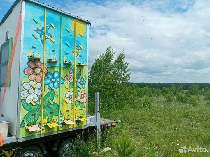 Пчелопавильон кассетный 