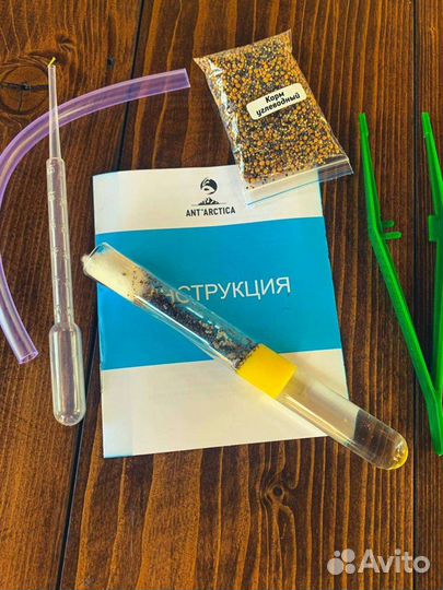 Муравьиная ферма формикарий