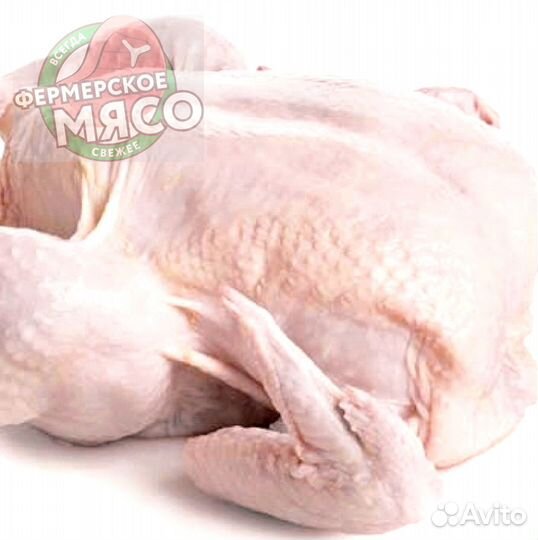 Мясо курицы