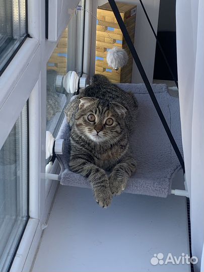 Гамак-лежанка для кошек на окно