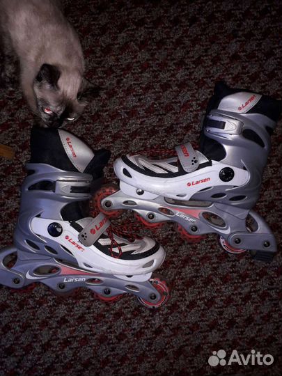 Роликовые коньки