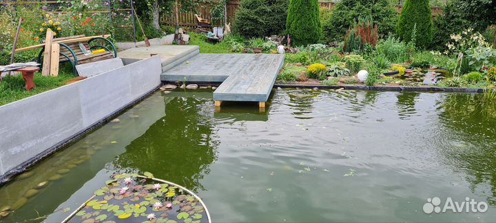 Продам карп кои, золотые рыбки, кометы и др