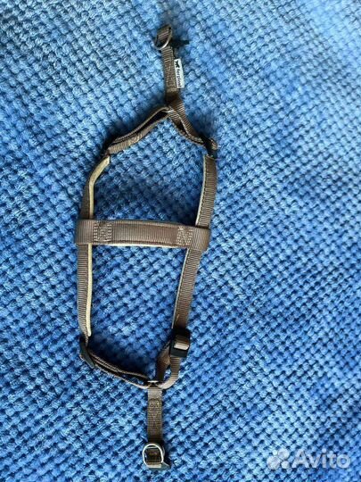 Шлейка для собаки