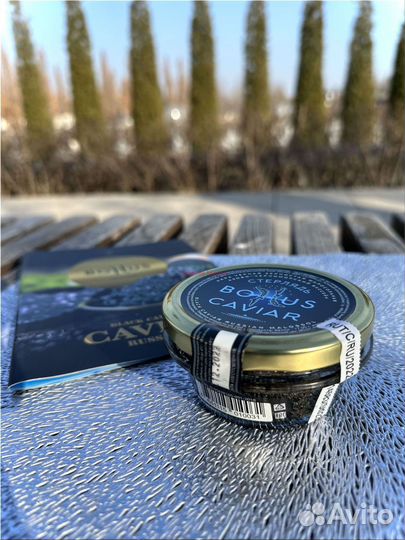 Черная икра