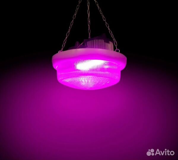 Фитосветильник для растений светодиодный 100W