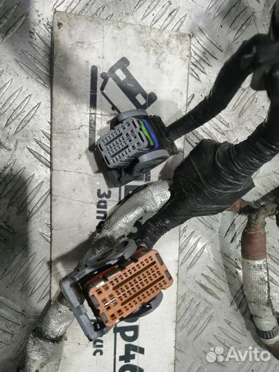 Проводка, коса подкапотная Nissan Note E11