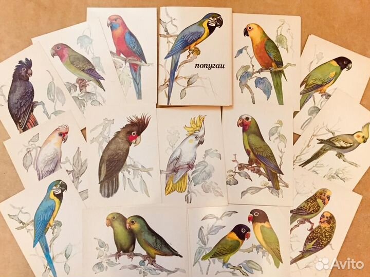 Стерео открытки голографические США Камасутра