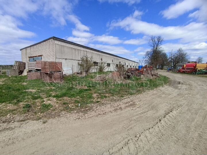 Участок 65 сот. (личное подсобное хозяйство (лпх))