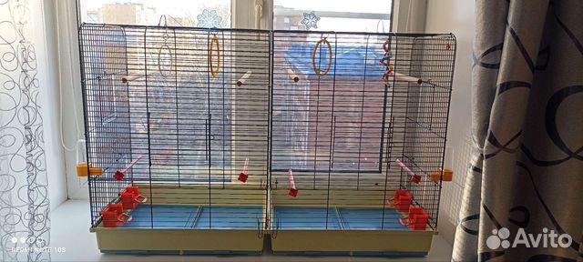 Большая клетка