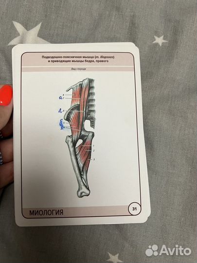 Карточки Сапина по Миологии