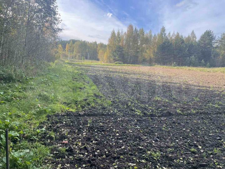 Участок 18,5 сот. (ИЖС)