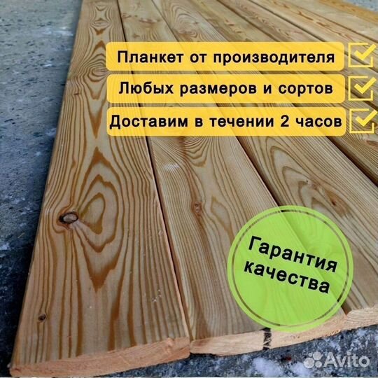 Планкен прямой лиственница