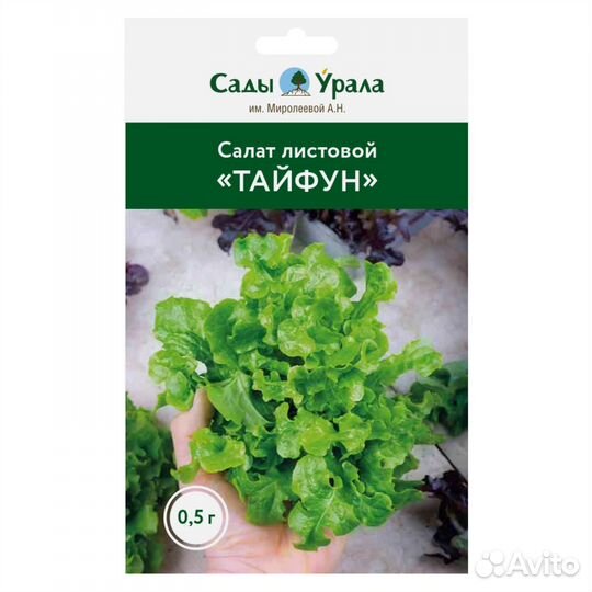 Салат листовой «Тайфун» - семена