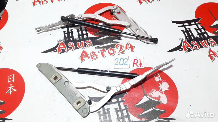 Петля крышки багажника BMW 320i E46 M54 B22 2004