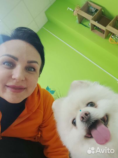 Услуги кинолога дрессировка хендлинг